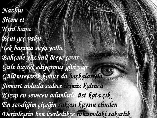 sitemli_resimler_ (7)-373.jpg